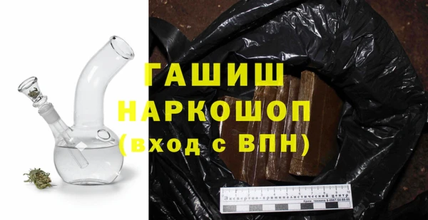 сатива Ельня