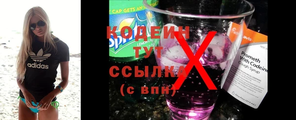 сатива Ельня