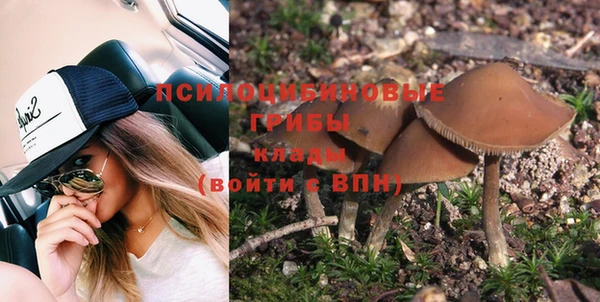 сатива Ельня
