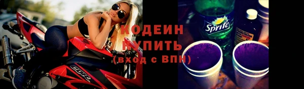 сатива Ельня