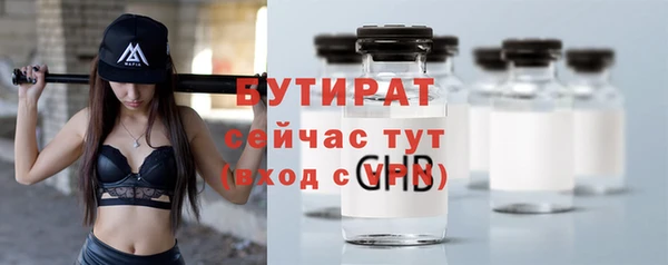сатива Ельня