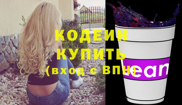 сатива Ельня