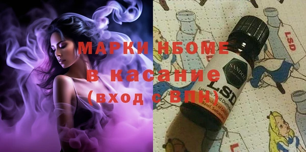 сатива Ельня