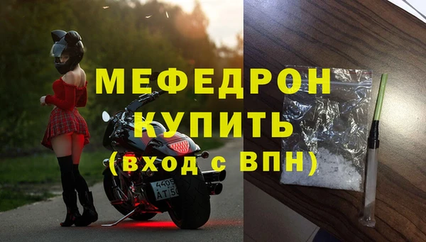 сатива Ельня