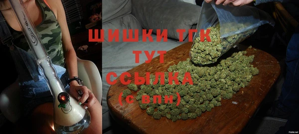 сатива Ельня