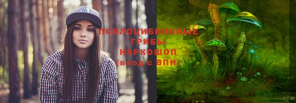 сатива Ельня