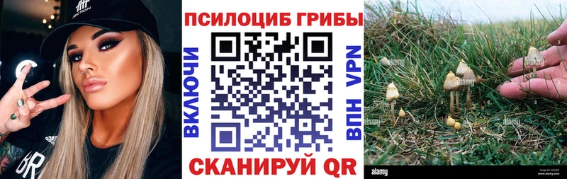 Галлюциногенные грибы мухоморы  Купить  Тулун 